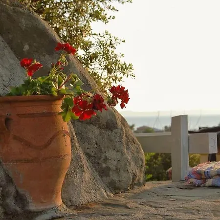 Villa 《μάνα γη》 *
