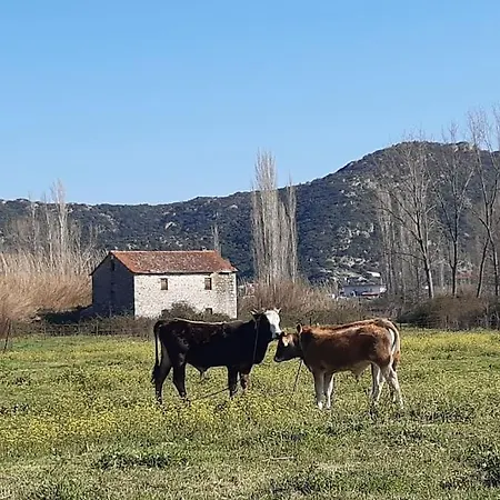 《μάνα γη》 Vilă Toroni