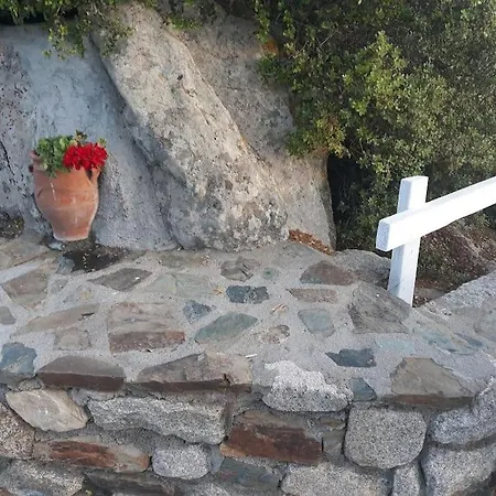 《μάνα γη》 *
