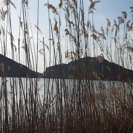 《μάνα γη》 Vilă